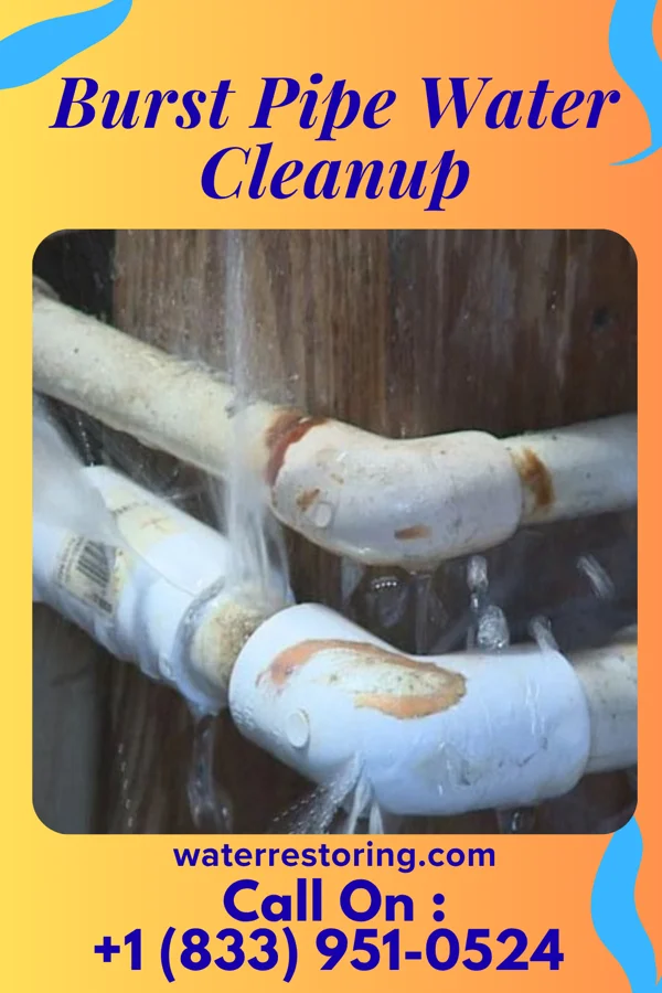 Burst Pipe Water Cleanup in Zebulon, NC