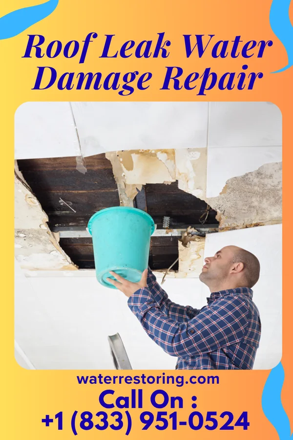 Roof Leak Water Damage Repair in Zebulon, NC