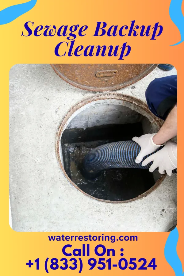 Sewage Backup Cleanup in Zebulon, NC