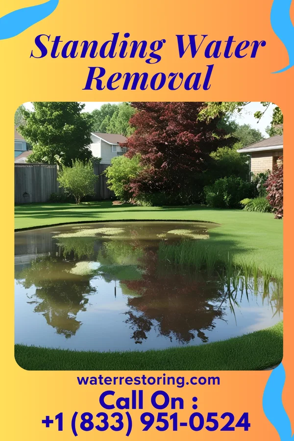 Standing Water Removal in Zebulon, NC
